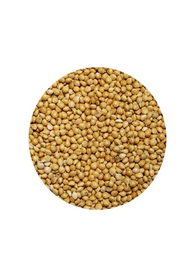İthal Sarı Darı Muhabbet Kuşu Yemi 25 KG