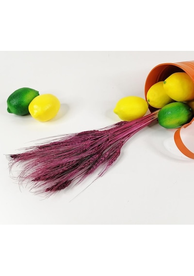 Kuru Çiçek Doğal Bordo Başak 35Gram Şoklanmış Bozulmaz