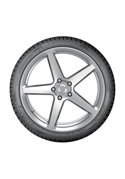 Nokian Tyres 205/55 R17 95V XL WR Snowproof P Kış Lastiği 2024