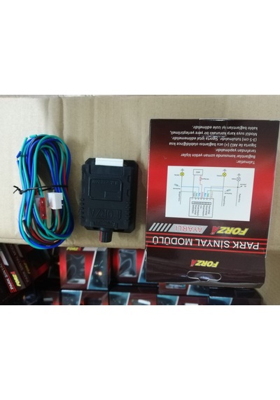 AMERİKAN PARK MODÜLÜ - AYARLI 12V (2 ÇIKIŞLI)