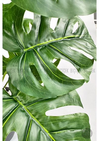 Biçiçek Yapay Monstera Deve Tabani 60 Cm Si̇yah Yakut Saksıda