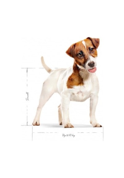 Mini Adult Köpek Maması 2 Kg + 2 Adet Yaş Mama Hediye