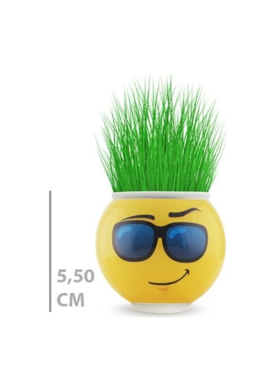 Emoji Figürlü Çim Adam Saksı Masaüstü Çim Yetiştirme Seti, Hazır Tohumlu, Hediye Paketli Çim Adam