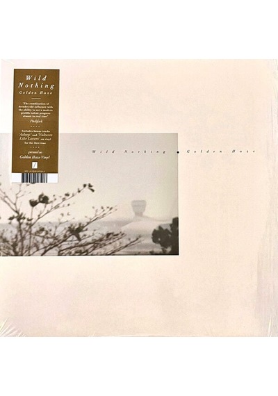 Wild Nothing Golden Haze Ep Edition Lp Plak