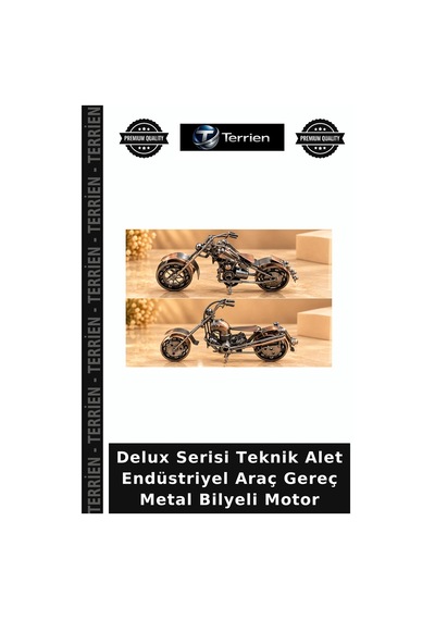 Delux Serisi Teknik Alet Endüstriyel Araç Gereç Metal Bilyeli Motor