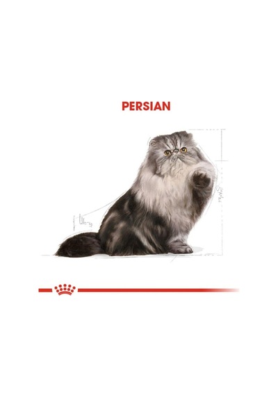 Royal Canin Persian İran Kedilerine Özel Kedi Konservesi 85 Gr 12'li Paket