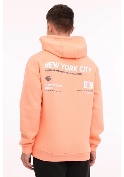 Lumberjack Greys Erkek Kapüşonlu Sweatshirt 101889522