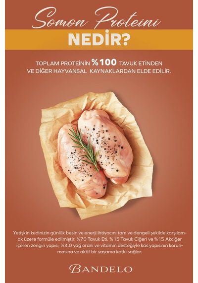 Tavuklu Yetişkin Kedi Yaş Maması - Jöle İçinde %100 Hayvansal Proteinli Düşük Yağlı, 85 Gr X 24 Adet