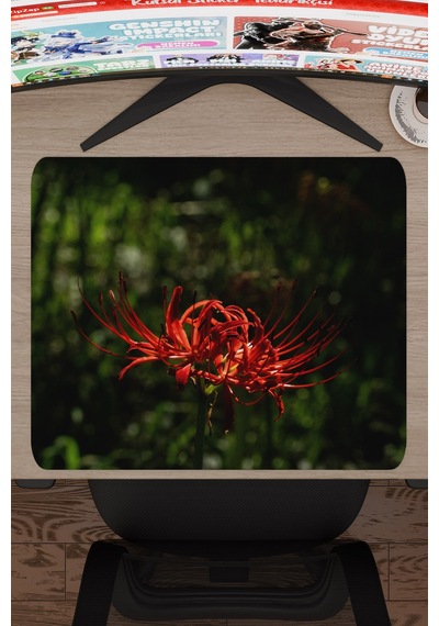Higanbana Kaymaz Dikişli Kauçuk Oyuncu Mousepad V1 - 48x40 Xl Gaming Mouse Pad Fare Altlığı