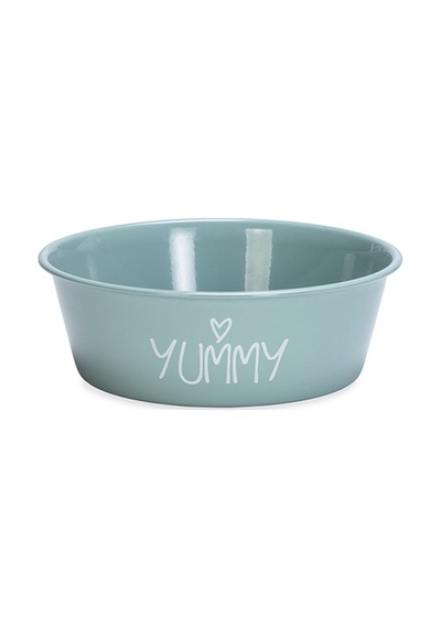 Beeztees Yavru Köpek Mama Su Kabı, Paslanmaz Çelik, Kaymaz Taban, Turkuaz, 13cm, 470ml
