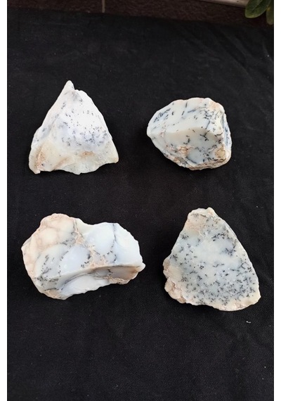 Dendritli Opal Merlinit Doğal Parça 10-Mr