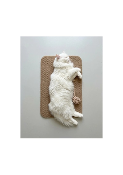 Kedi Tırmalama Paspası Çıngıraklı Toplu Oyun Halısı Kedi Yatma Dinlenme Alanı Tırmalama Matı Ev İçi Kedi Oyuncağı
