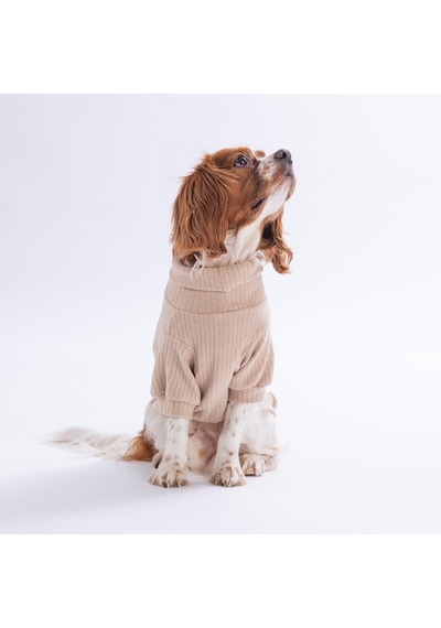 Bej Teddywood Ayıcık Nakışlı Esnek Sıcak Tutan Köpek Sweati Köpek Kıyafeti Kedi Kıyafeti