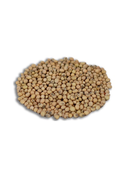 Yerli Soya Fasulyesi Tohumu 100 GR N117431