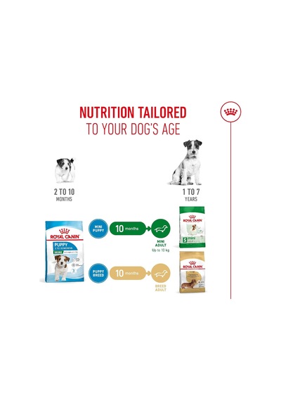 Tr Mini Puppy Yavru Kuru Köpek Maması 4 Kg