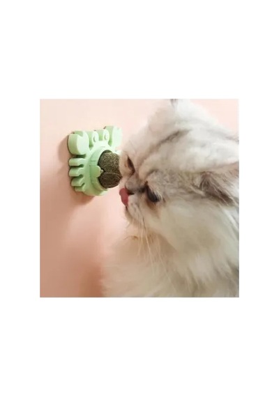 Bay Yengeç Kedi Otu Oyun Topu Najmaddin