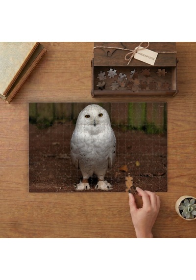 Yavru Kar Baykuşu Tasarımı 240 Parça Ahşap Puzzle Ahşap Kutuda Mpy60235