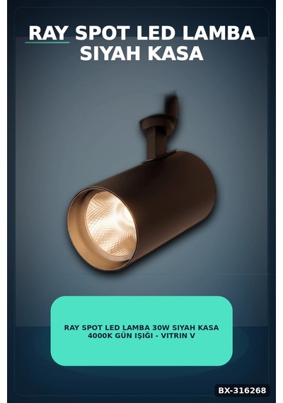 Ray Spot Led Lamba 30w Siyah Kasa 4000k Gün Işığı - Vitrin Ve Mağaza Aydınlatması Tekli Bx-316268 Diğer