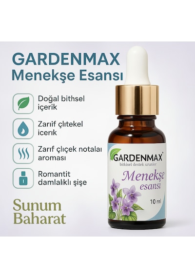 Buhurdanlık Esasnsı Menekşe Menekşe