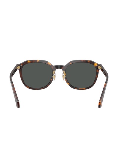 Versace Güneş Gözlüğü Ve4493d 55 108/87 Kahverengi