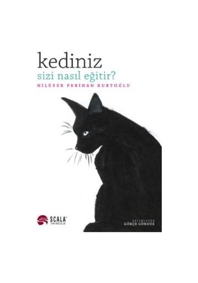 Kediniz Sizi Nasıl Eğitir