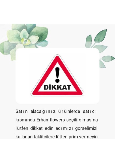 150 Cm Islak Doku Bambu Çubuk 10 Adet Yeşil
