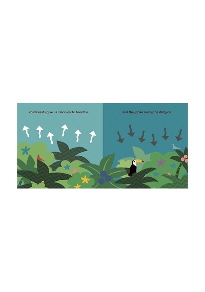 Eco Baby: Rainforest 0-3 Yaş Çocuk Resimli İngilizce Kitap