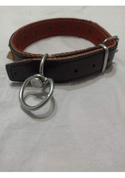 Büyük Irk Süslü Deri Çiviliel Işlemeli Köpek Tasması
