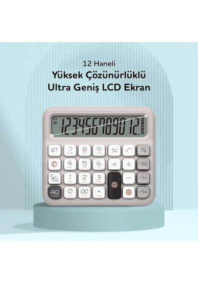 Daxı X-250 12 Haneli Hesap Makinesi Pastel Gri Genel
