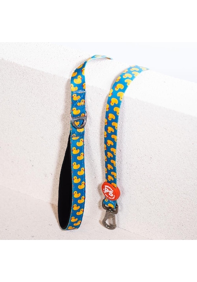 Ducks Leash Kedi Köpek Sevk & Gezdirme Kayışı Köpek Uzatma Tasması-1,5cm Petrol Mavi