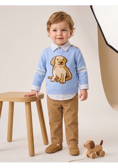 Zekids Erkek Bebek Mavi Köpek Desenli Triko Kazak Gömlek Ve Pantolon Takım-17438