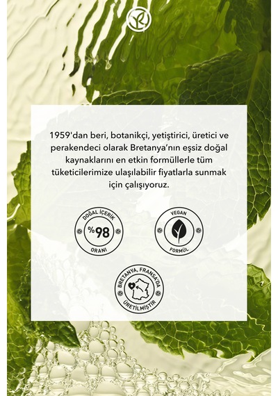 Yves Rocher Ter Kokusu Önleyici 24 Saat Etkili Kadın-erkek Roll-on Deodorant- Organik Nane&limon-57136 50 Ml
