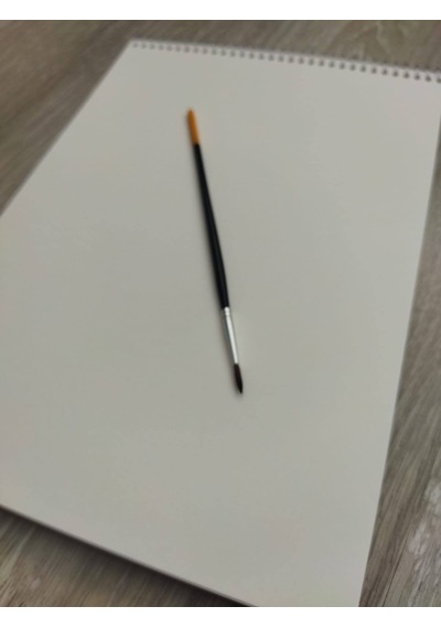 Koala- Yağlıboya Akrilik Boya Sketch Pad Çizim Defteri Sketch Book Siyah