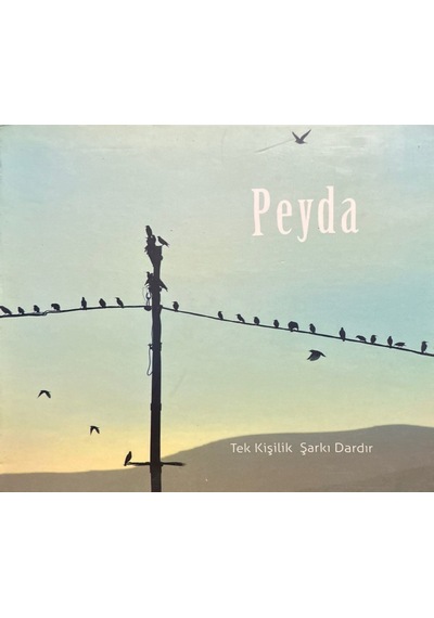 Plak Değildir Cd Dir Cd Peyda Tek Kişilik Şarkı Dardır Cd