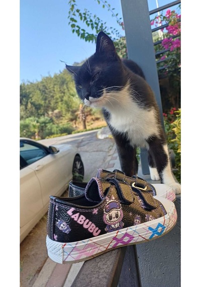 Scarpe Magiche Labubu Siyah Işıklı Kız Çocuğu Ayakkabı 31-35 Numara Arası Işıksızdır Siyah Scarpe Magiche Labubu Siyah Işıklı Kız Çocuğu Ayakkabı 31-35 Numara Arası Işıksızdır Siyah