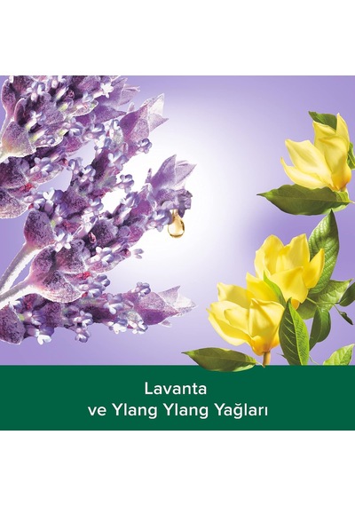 Aroma Sensations So Relaxed Ylang Ylang Öz Yağı Ve İris Özü İle Sıvı El Sabunu 700 Ml Diğer