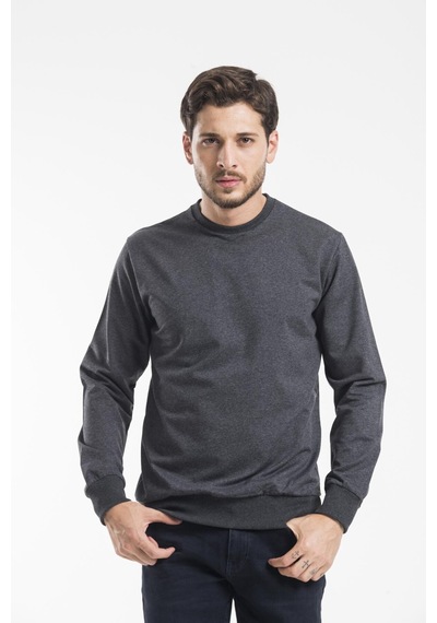 Süperlife Erkek Bisiklet Yaka Regular Fit İnce Sweatshirt Spr 20k30 Antrasit