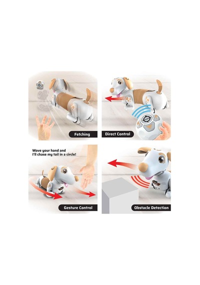 Robo Dash D - Asortı Sarı