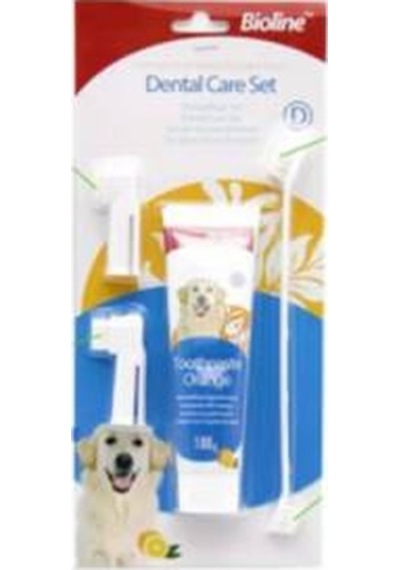 Portakal Aromalı Köpek Ağız Bakım Seti 100 Gr