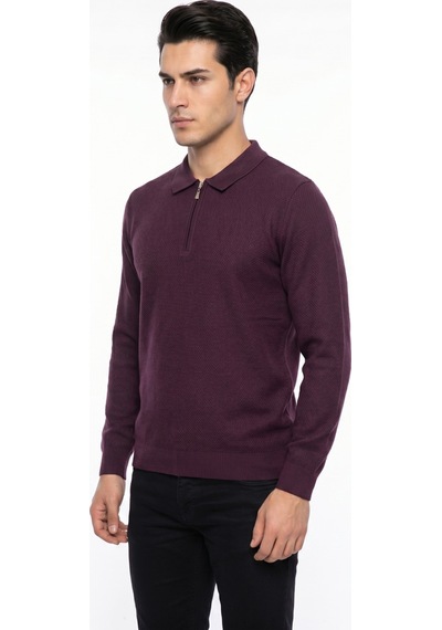 Foterman Erkek Spor Polo Yaka Mevsimlik Kazak Bgl-st05443 Mürdüm