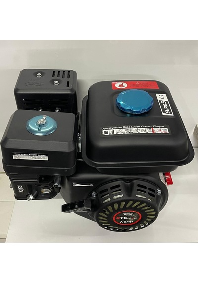 Datsu Dts 210 Benzinli Motor 7 Hp Euro5-44918