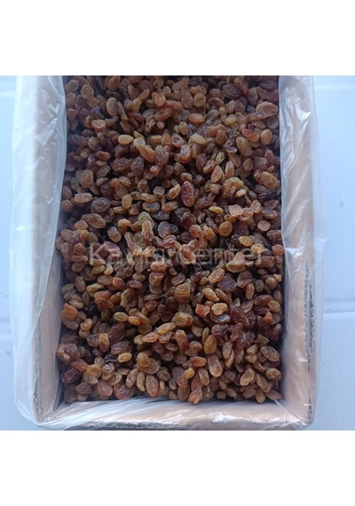 Toptan İzmir Çekirdeksiz Üzüm 10 Kg 10 KG
