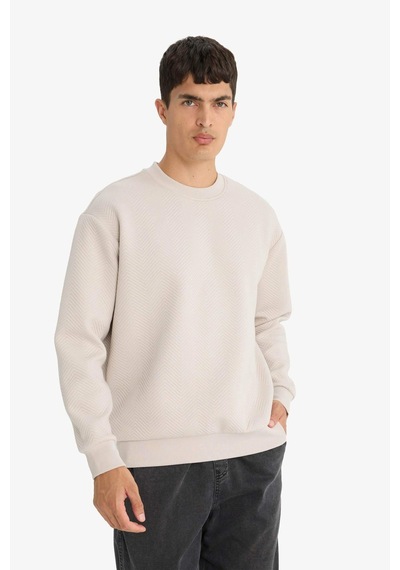 Defacto Relax Fit Bisiklet Yaka Sweatshirt E9536ax25aubg766 Bej