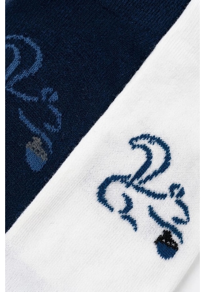 Cocole Socks Erkek Çocuk Patik Çorabı 2 Li Set Beyaz & Lacivert Sincap Desenli Çok Renkli