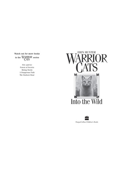 Into The Wild: Book 1