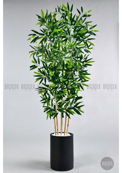 Yapay Bambu Ağacı 6 Dallı 150 Cm Yoğun Yapraklı Metal Krem Saksı Siyah