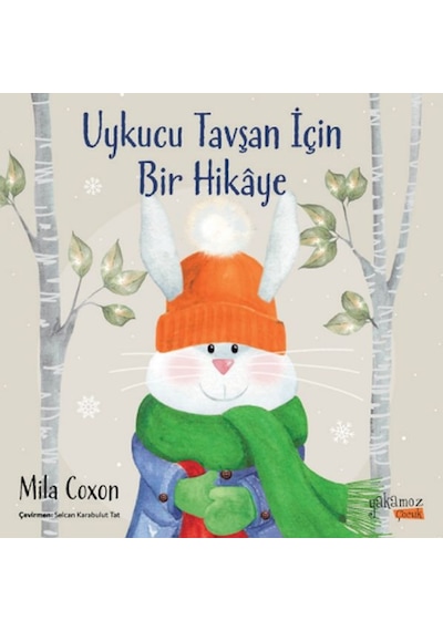 Uykucu Tavşan İçin Bir Hikaye - Aıaı-836350