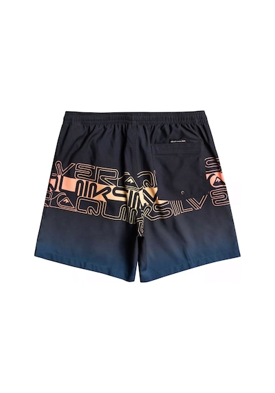 Quiksilver Everyday Wordblock 17 Erkek Yüzme Şortu 001