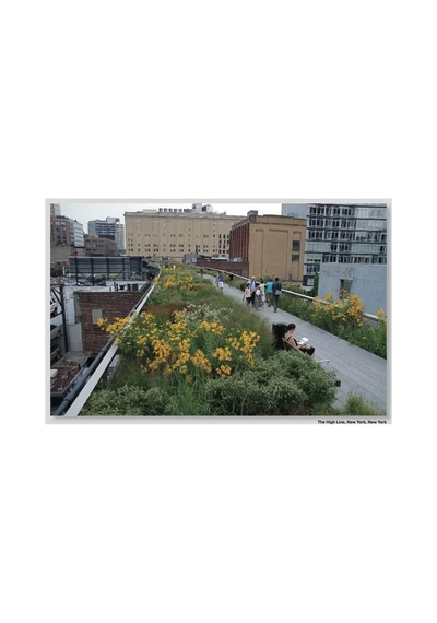 Thames And Hudson Piet Oudolf Landscapes In Landscapes 9780500289