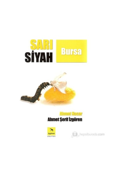 Bursa'nın Sarı Siyah Renkleri, Kültürel Bir Anlatım